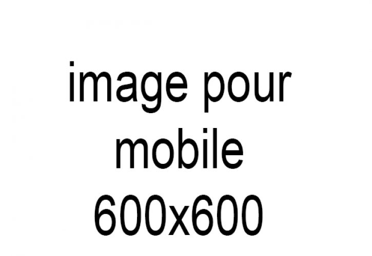 photo-pour-mobile-600x600